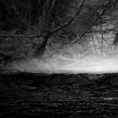 Creek