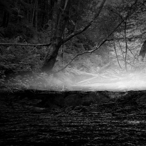 Creek