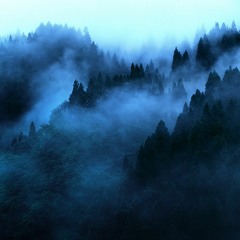 The mist - w/Henrik Meierkord