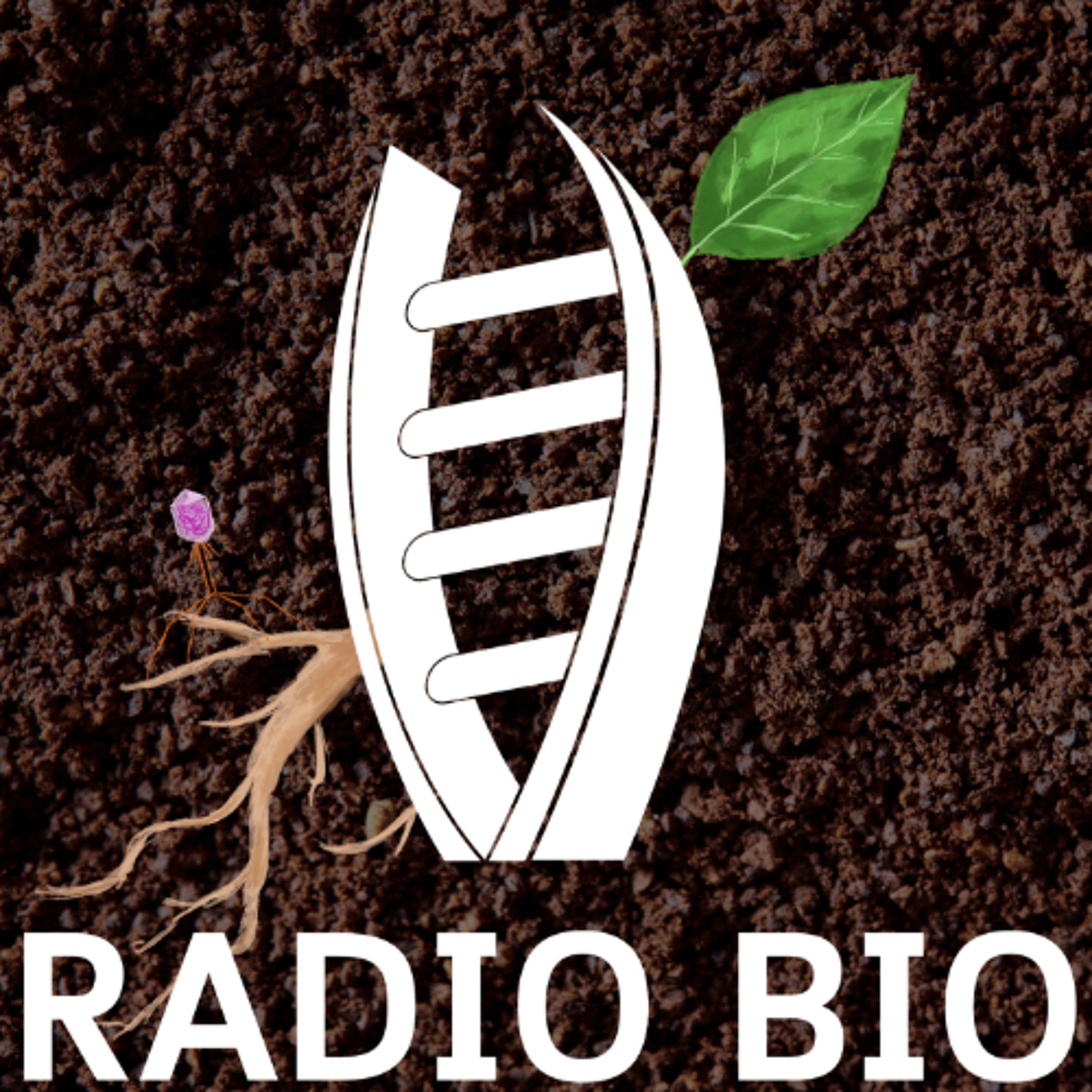 RadioBio