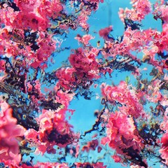 Take Some More- Vinchi (Chopped & Screwed)