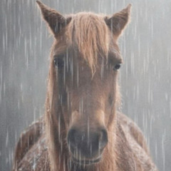 sad edit (prod. @ivycraft)