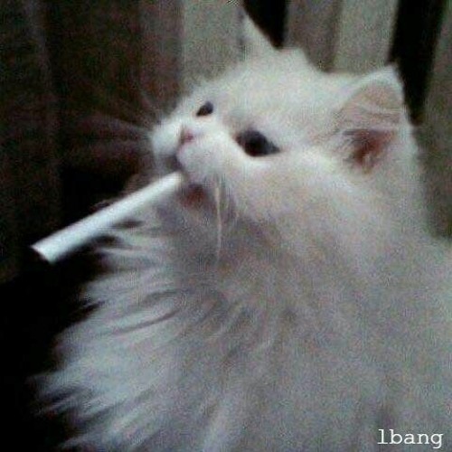 Kí Ức Trốn Đi x Sao Em Lại Tắt Máy (Mix by lbang)