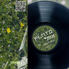 pLNTdMiX