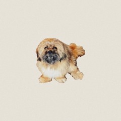 Crumbs (Prod. Yunny Goldz)