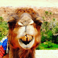 Bahae Sultan x Pablo Fierro-oum ou aff( Temsy & N3dek MU Edit)