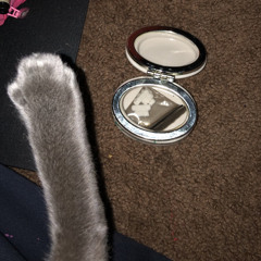 chad fontaine - carry on