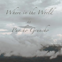 where in the world is Puncho Gruncho?