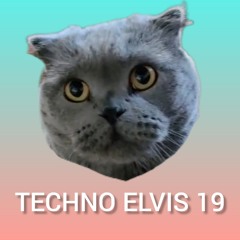 TECHNO ELVIS 19 (MAMA)