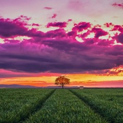 Mots dance music background 🎹​FREE DOWNLOAD