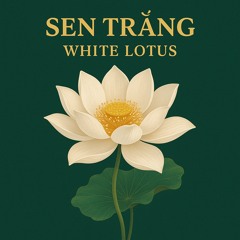 nhạc-dạo-–-sáo-trúc-và-tiếng-nước-nhẹ part 2.