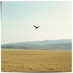 20  Freedom Is Like Air