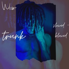 trunk (slowed + blowed)