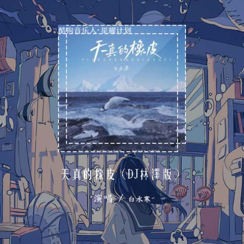 白水寒 - 天真的橡皮（DJ林泽版）「人生呐 能不能放过我这一次」【動態歌詞/pīn yīn gē cí】#白水寒 #天真的橡皮 #動態歌詞