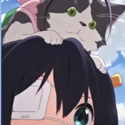 lofi hip hop radio - beats to sleep/chill to