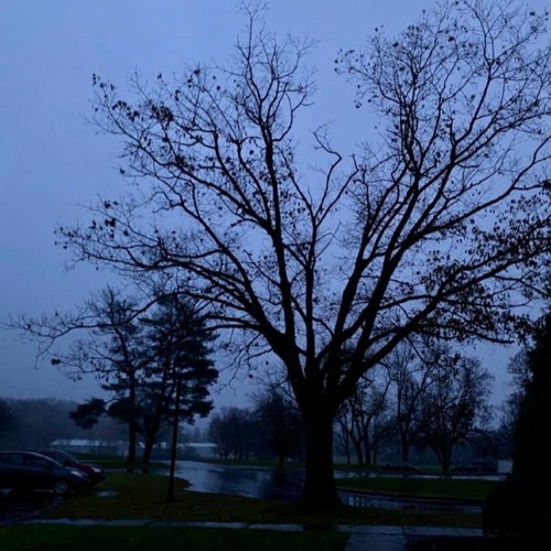 Ephemeral -ambient version
