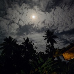 Father, Where Are You Now✨️