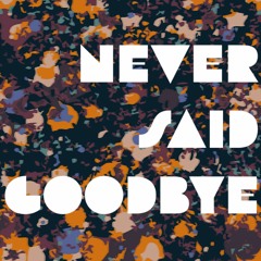 Never Said Goodbye