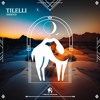 AhmVd - Tilelli (Cafe De Anatolia)