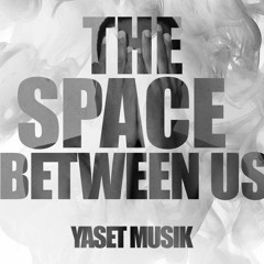 The space between us