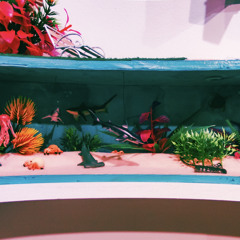 aquarium
