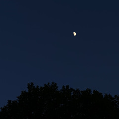 ‎⁨من أنت |قاسم حمادي⁩