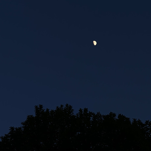 ‎⁨من أنت |قاسم حمادي⁩