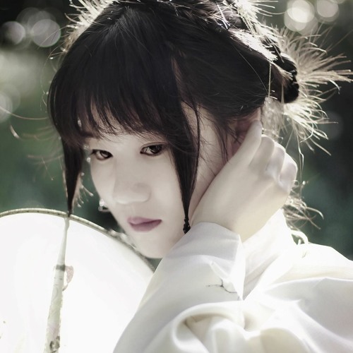 Erhu Dreams