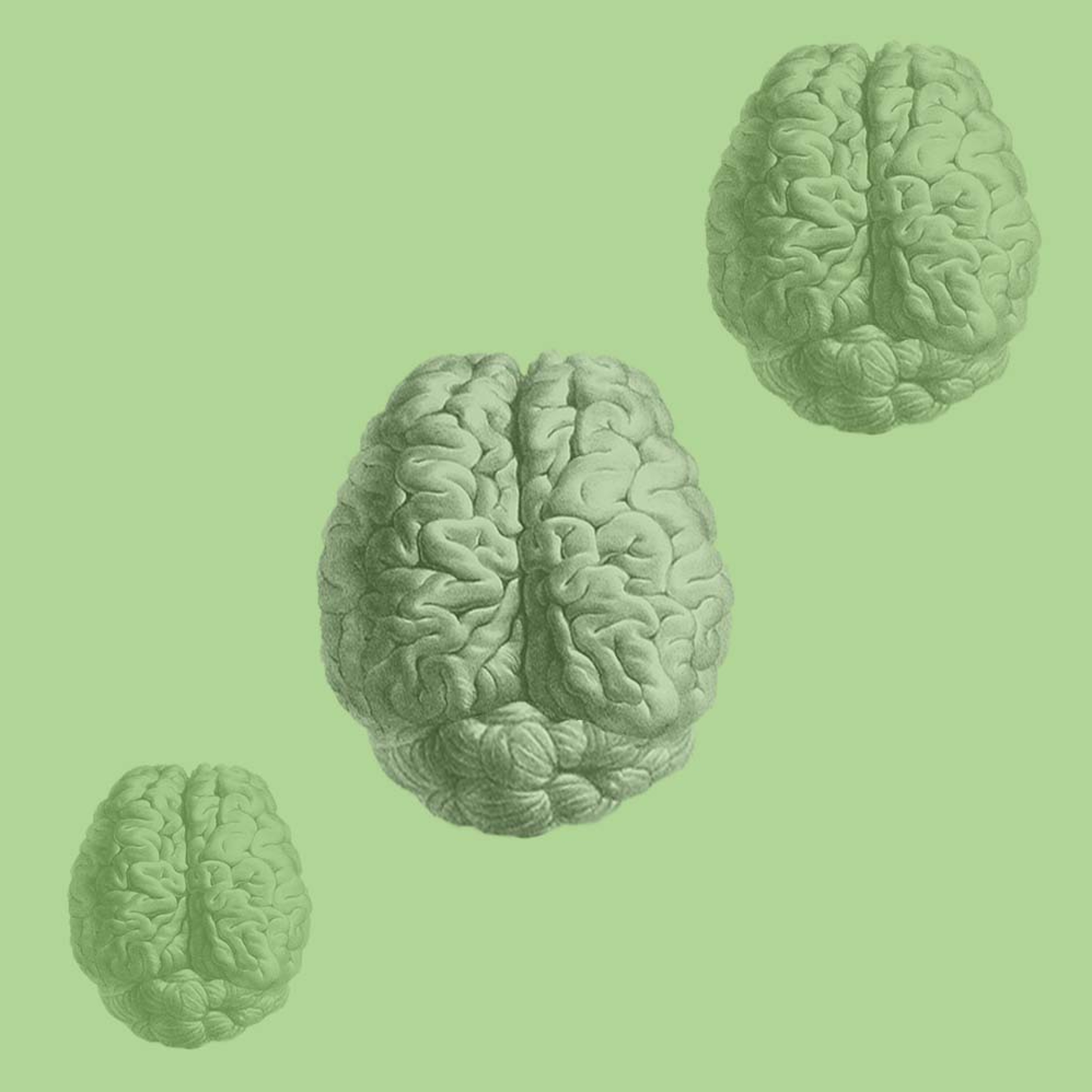 Linnean Podcasts