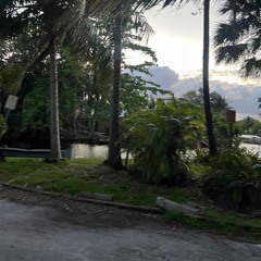 OMG DARIACORE?! IDK.