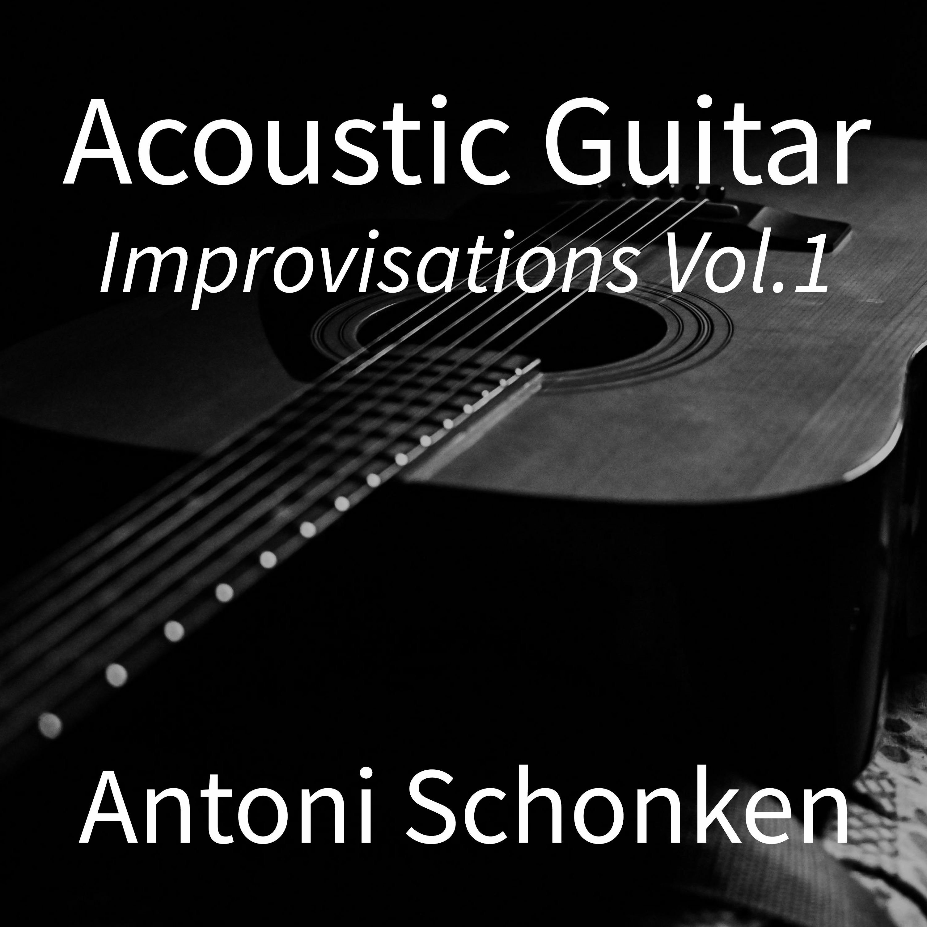 Antoni Schonken
