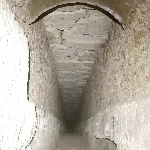 Stream Dungeon_synth_1 by Plaque/Crevure Listen online for free on