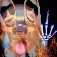 cuArEntA dE fiEbRE prod. boOo