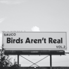 BIRDS AREN'T REAL VOL. 2