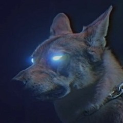 Surf Curse - Self Portrait(Slowed+Reverb)