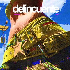 delincuente ₊˚⊹♡ naia flip