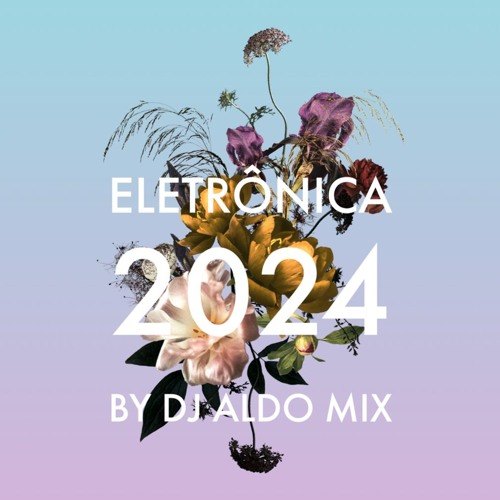 Stream Eletronica Party 2024 by Aldo Alves | Listen online for free on ...