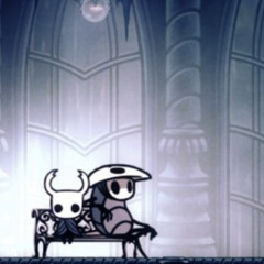 Hollow knight adventure