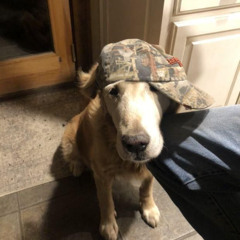 smoked ablunt v1.2 (p. heartache)