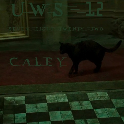Live on ultrawizardsword.net (07-08-22) / UWSx12
