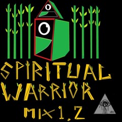 SPIRITUAL WARRIOR MIX 1 - ARP VIBES .wav