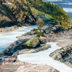 Stegi | evo-natura presents: Dioramas, a mixtape by Bademjan & Griigg ― 22 June 2022