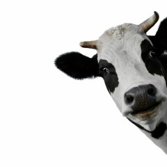 if you listen to this music i want to have mountain mikes pizza with you on the skateboard