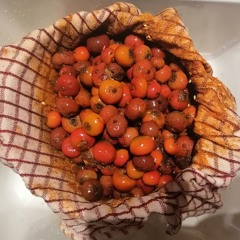 ÁMHRÁIN NA MAIDINE,    in Memoriam,  JAMIE