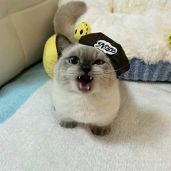 [UNRELEASED] CHURAQ CYRIL - ŠUTR OBŘÍ JAKO NUSLE