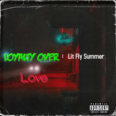 babyflysummer