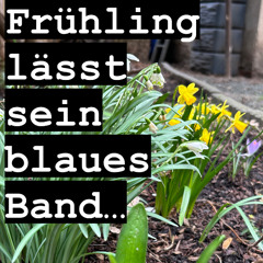 Oster-Nachtspaziergang am Grüngleis - NACHTIGALL