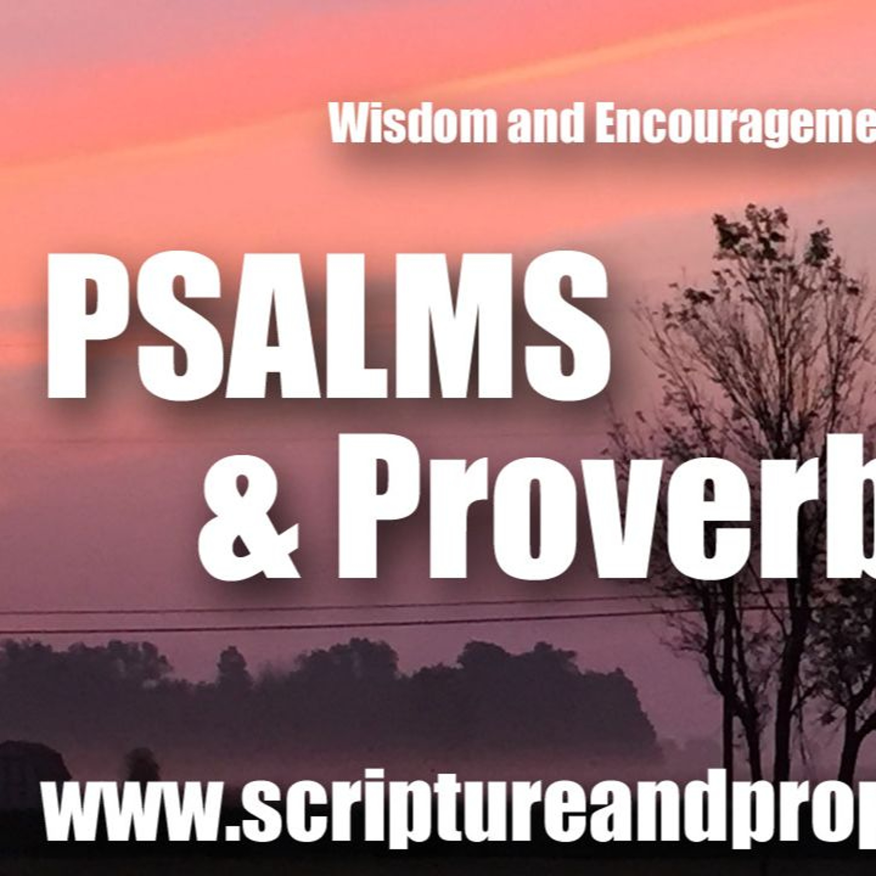 Scripture & Prophecy - Weekly Bible Studies