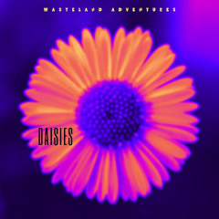 Daisies