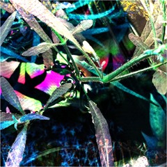 Cybernetic Clownfish (3 Hour Techno, Hardgroove, Trance Mix)